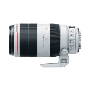 Canon EF 100-400mm f/4.5-5.6L IS II USM Lens