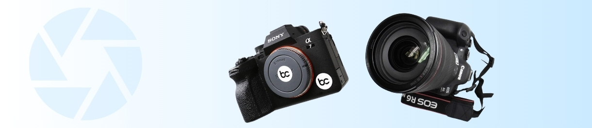 Sony or Canon Mirrorless Cameras